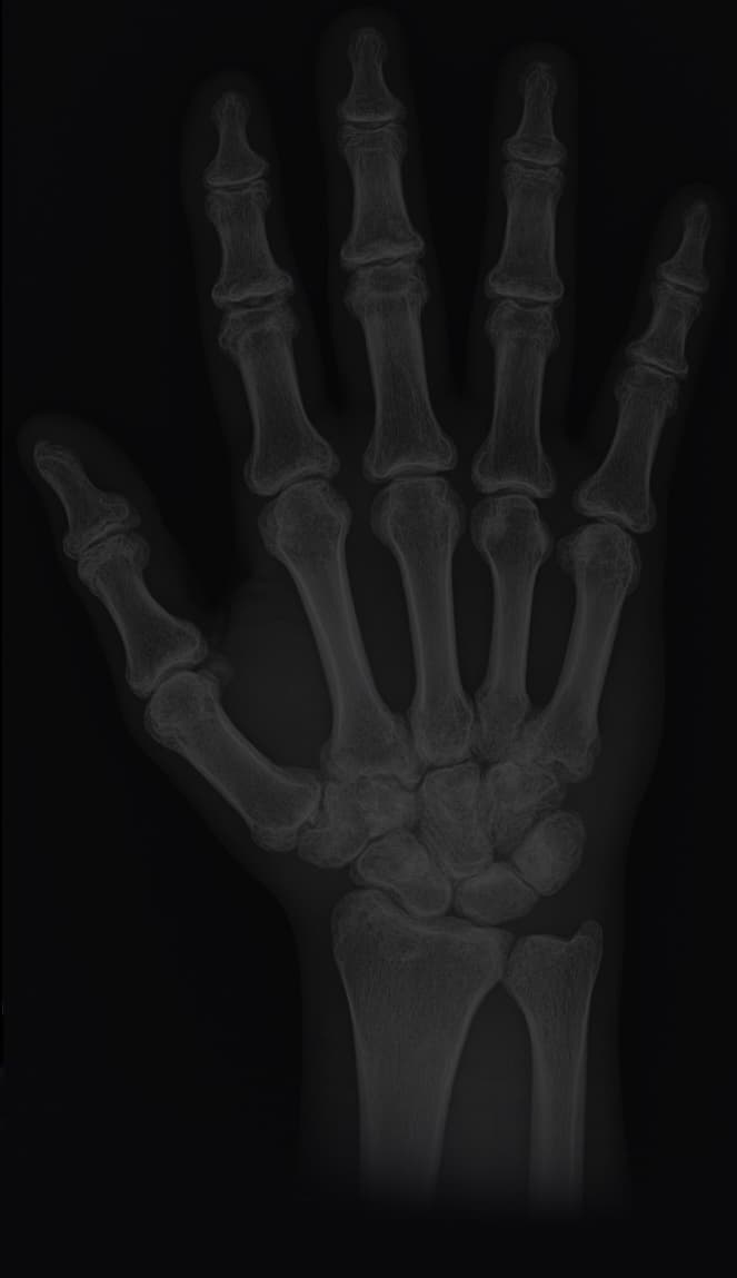 Medical research imagery